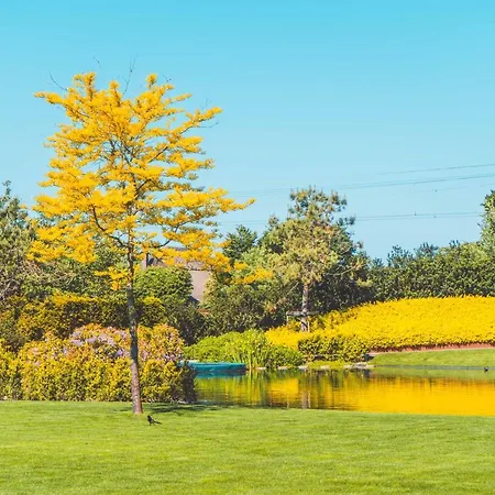 Buitenliefde, Romantisch Voor 2 Personen * هيلو